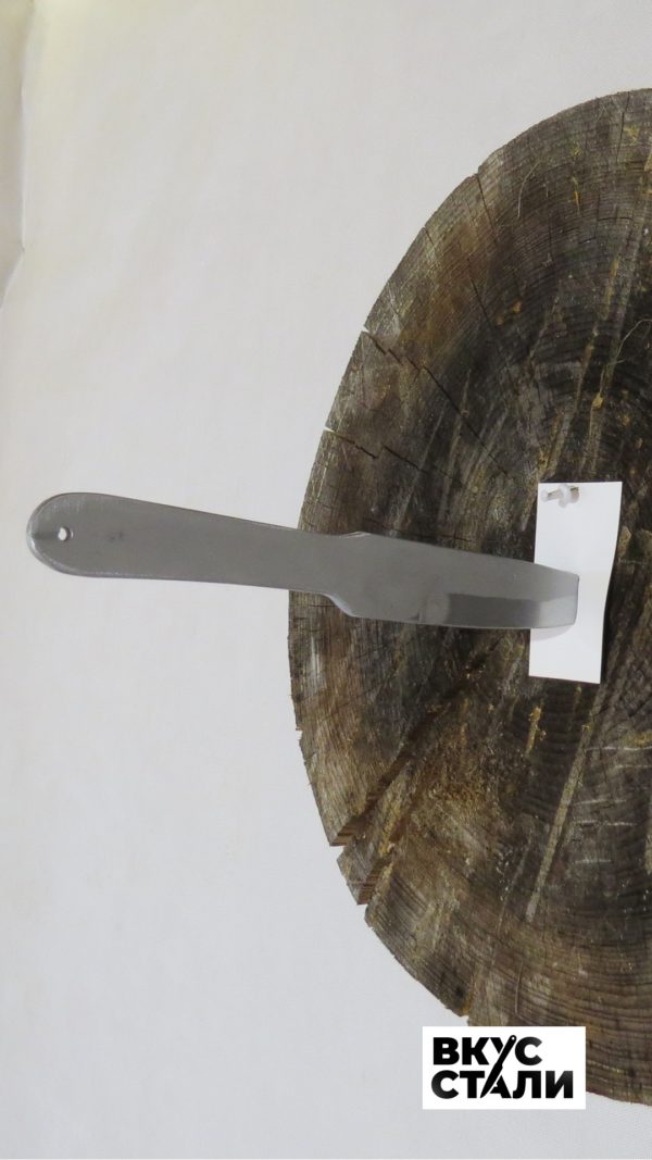 Метательный нож СМН-2 точно в мишени вид сбоку